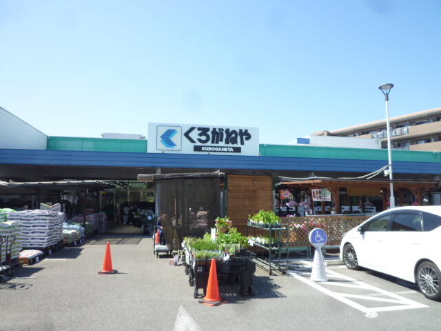 Zm5nfmx7sbvsm