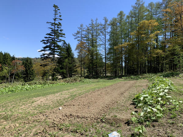 アットホーム 石狩市 厚田区厚田 畑 農地用地 1031713442 石狩市の土地 売地 宅地 分譲地など土地の購入情報