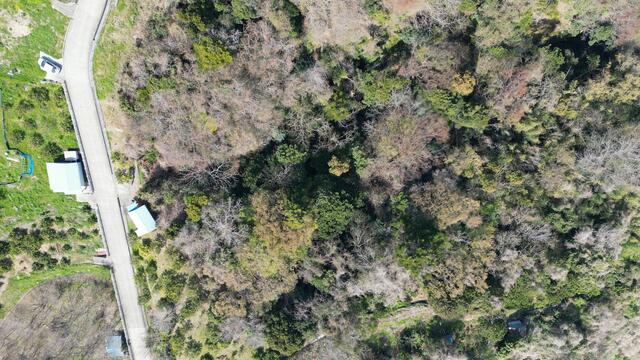 Odawara, Kanagawa property
