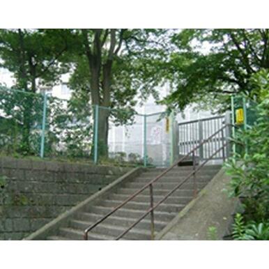 川崎市立上丸子小学校 距離：493m