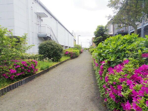 アットホーム 相模原市中央区 清新１丁目 相模原駅 2階建 ４ｌｄｋ 相模原 市中央区の中古一戸建て 提供元 センチュリー21リビングスタイル橋本店 一軒家 家の購入