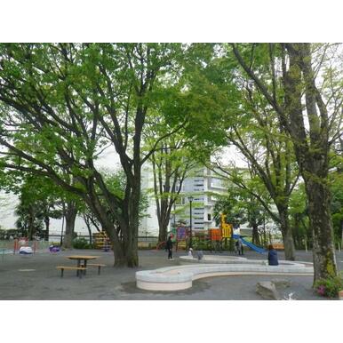 上北沢公園 距離:438m