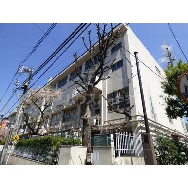 台東区立千束小学校 距離：330m