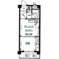 ライオンズマンション新板橋 1階 １DKの間取り図