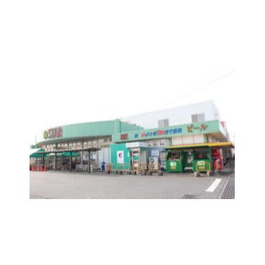 スター守山水保店 距離:400m