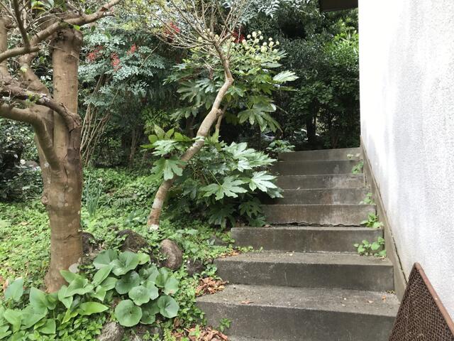 アットホーム 賀茂郡河津町 浜 河津駅 平屋建 ４ｋ 6972720759 賀茂郡河津町の中古一戸建て 提供元 伊豆太陽ホーム 株 下田本店 一軒家 家の購入