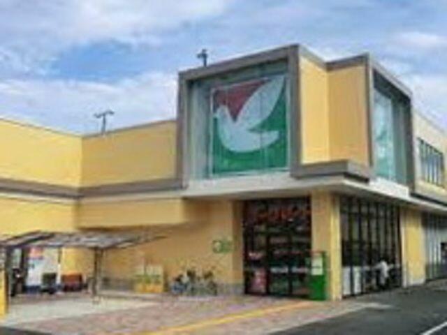 アットホーム ディアコート矢崎 1階 ２ｌｄｋ 提供元 株 タウンハウジング神奈川 平塚店 平塚市の賃貸アパート 1083184264