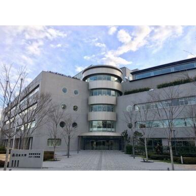 日本大学 距離：295m