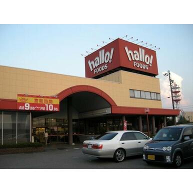 ハローフーヅ菅田店 距離：379m