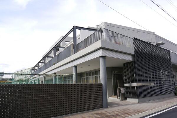 平手友梨奈の出身校 小学校 中学 高校 大学 学歴まとめ 偏差値や卒アル画像も Pixls ピクルス