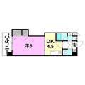 ペルルブラン高砂 ３０５ １DKの間取り図