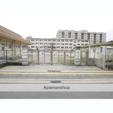 福岡市立小学校大楠小学校 距離:1,578m