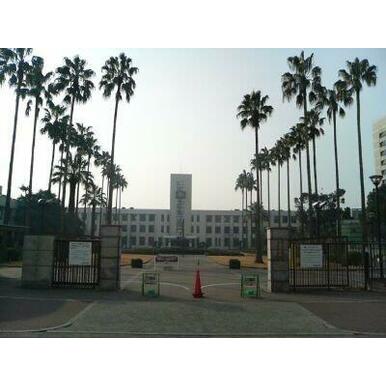 大阪公立大学　杉本 距離：606m