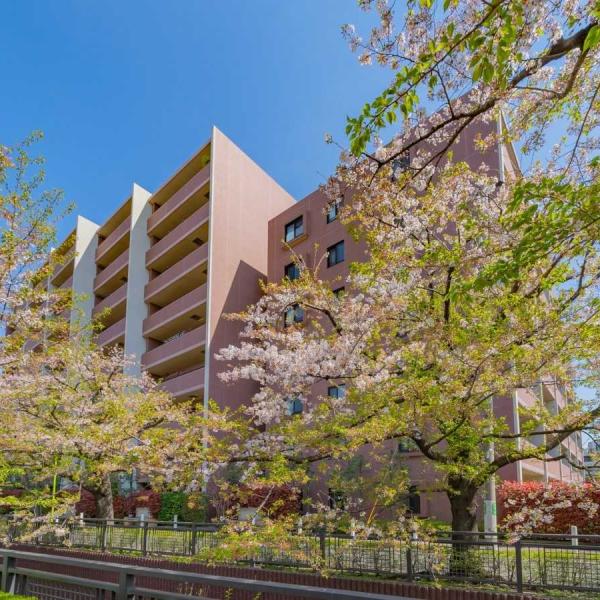 Natural 9 Nation 親不孝36房/街角の月の下で 未使用 送料込み NATURAL 9 NATION / 親不孝三十六房 / 12