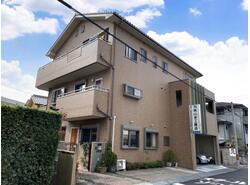 写真：