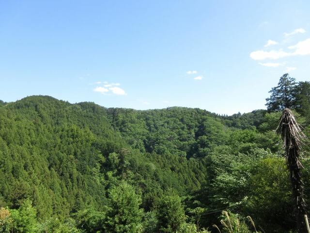 detached 飯能市大字高山