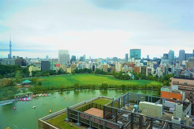 パークタワー上野池之端 17階 ２ｌｄｋ 台東区の中古マンション アットホーム マンション購入の情報