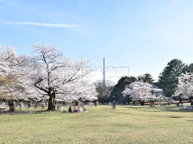 アットホーム】練馬区 田柄4丁目 （地下鉄赤塚駅 ） 2階建