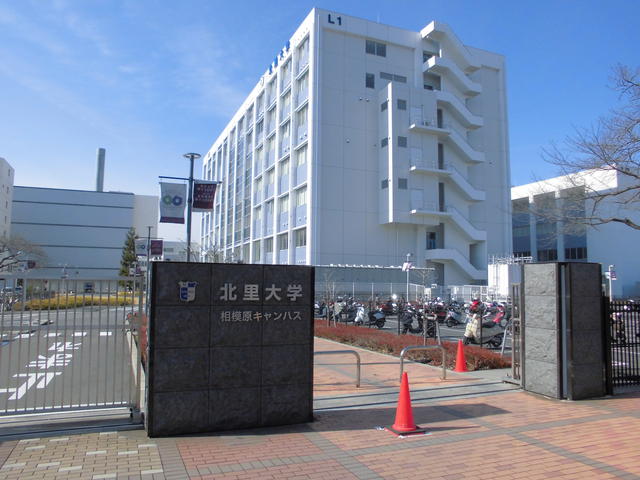 アットホーム 相模原市南区 北里1丁目 相模大野駅 1階 1k 提供元 株 清幸リビング 相模原市南区の賃貸アパート アットホーム 相模原市南区 北里1丁目 相模大野駅 1階 1k 提供元 株 清幸リビング 相模原市南区の賃貸アパート