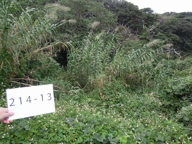 アットホーム 熊毛郡屋久島町 小瀬田 鹿児島中央駅 畑 農地用地 熊毛郡屋久島町の土地 売地 宅地 分譲地など土地の購入情報