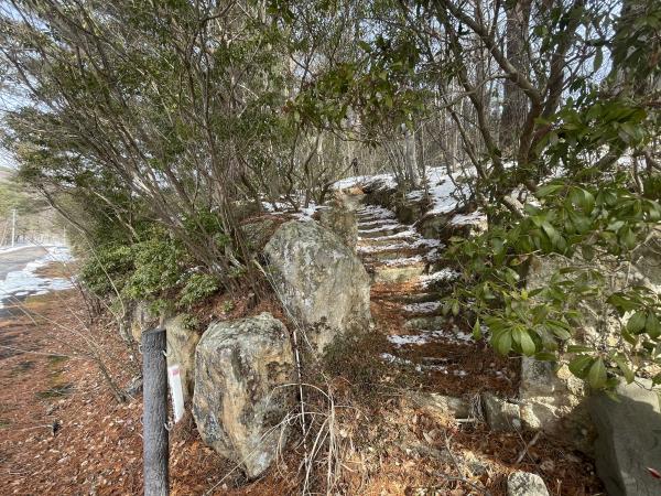 detached 安達郡大玉村玉井字守谷山