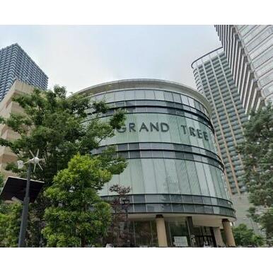 ＧＲＡＮＤ　ＴＲＥＥ　ＭＵＳＡＳＨＩＫＯＳＵＧＩ（グランツリー武蔵小杉） 距離：894m