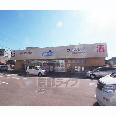 ウェルシア右京西院月双店 距離:78m