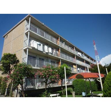 アットホーム ポプラヶ丘コープ17号棟 203 2ldk 提供元 株 きめたハウジング 賃貸部 町田市の賃貸マンション アットホーム ポプラヶ丘コープ17号棟 203 2ldk 提供元 株 きめたハウジング 賃貸部 町田市の賃貸マンション