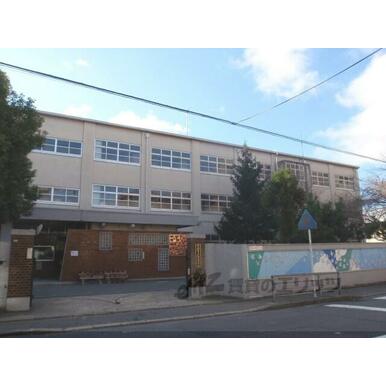 松原中学校 距離:1,000m