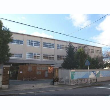 松原中学校 距離:1,000m