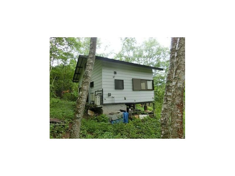 Minamisaku District, Kawakami Village, Oaza Hara (Nobeyama Station) 2-story 1LDK