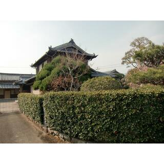 detached 阿波市阿波町安政