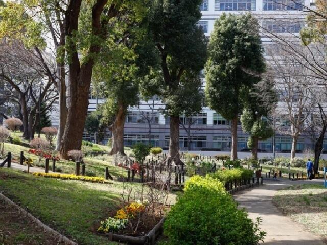 6/4 YO3様 2台 （イビス バジェット シンガポール ウエスト コースト  