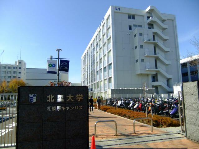 アットホーム ルピナス 1階 1k 提供元 株 ミニミニ神奈川 相模大野店 相模原市南区の賃貸アパート アットホーム ルピナス 1階 1k 提供元 株 ミニミニ神奈川 相模大野店 相模原市南区の賃貸アパート