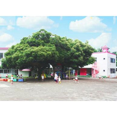 うさぎ幼稚園 距離:1,895m