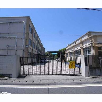 桂東小学校 距離:280m