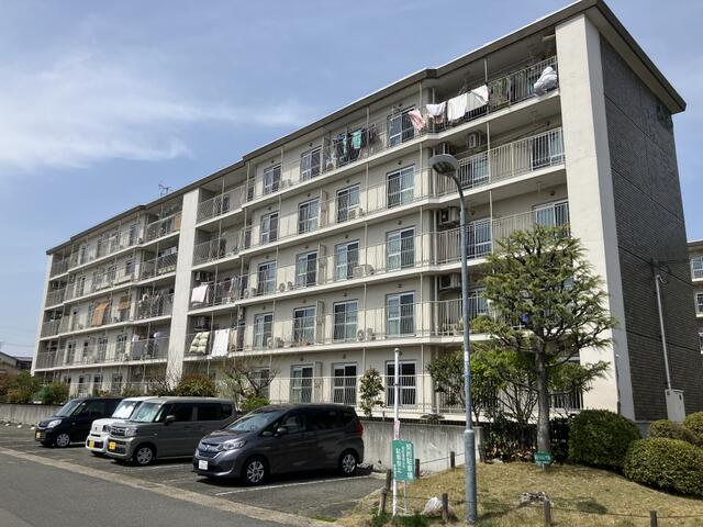 やえこ ☆新商品①☆私、八重子【アタッチヤエコ】 – 元機オンラインストア