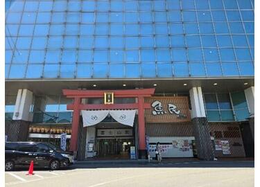 ば ジロ] ジュニア LAUNCH PLUS ラウンチ プラス スノーボード