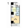ＶＩＯＲ文京関口 ３０１ １Kの間取り図