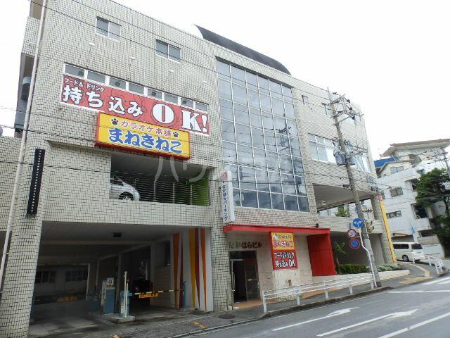 まねきねこ 国際 通り