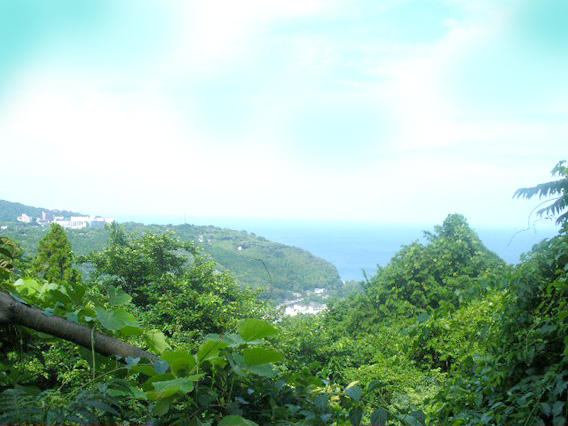 アットホーム 賀茂郡東伊豆町 白田 片瀬白田駅 別荘用地 賀茂郡東伊豆町の土地 売地 宅地 分譲地など土地の購入情報