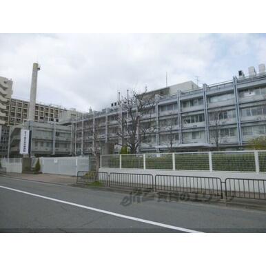 洛和会東寺南病院 距離：1,200m