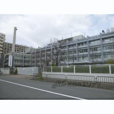 洛和会東寺南病院 距離:1,200m