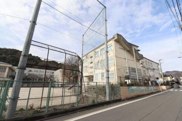 中学校 双 ヶ 丘 富士見丘中学校・高等学校