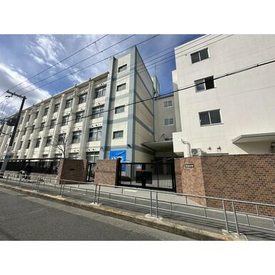 大阪市立歌島中学校 距離：1,100m