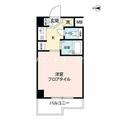 スカイコート文京小石川 ７０３ ワンルームの間取り図