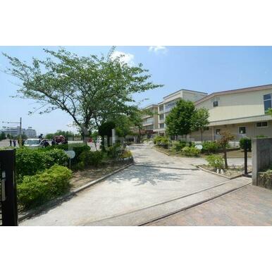 柏市立名戸ヶ谷小学校 距離：1,420m