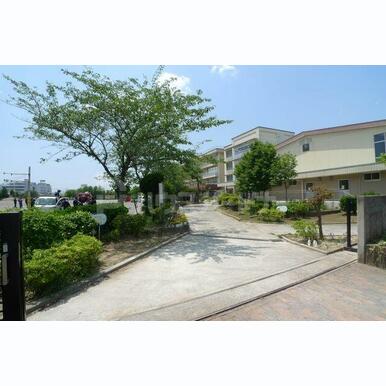 柏市立名戸ヶ谷小学校 距離:1,420m