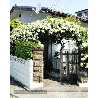 detached 徳島市新浜本町１丁目