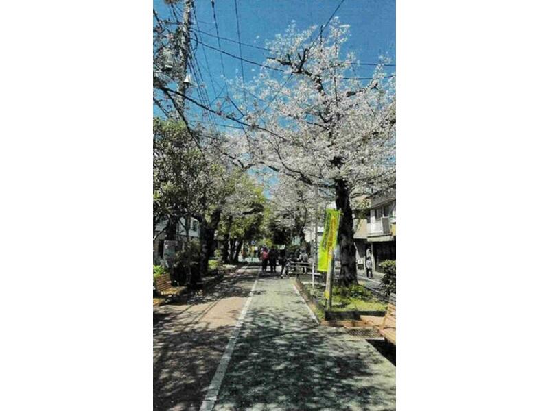 Koto Ward, Oshima 3-chome (Nishi-Oshima Station) 2-story 3K